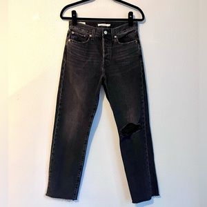 Levi’s Wedgie Straight After Sunset